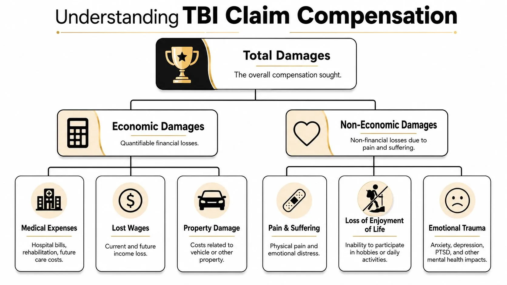 A flow chart outlining the types of damages in a TBI legal compensation claim, including economic and non-economic categories.