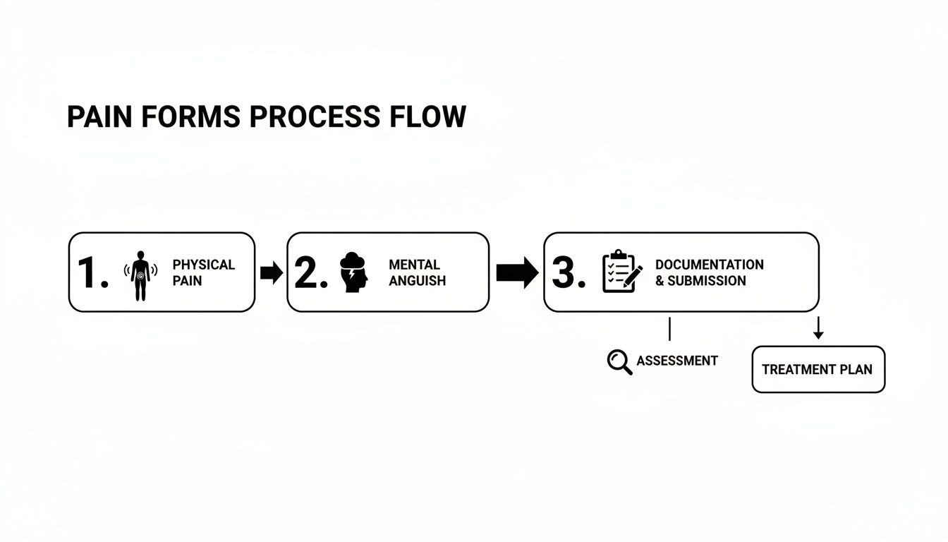 A flowchart detailing the pain forms process from physical and mental pain to documentation and treatment.
